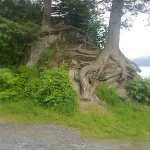 Meet your Posher, Don